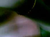 Private  Desi  Pair Fucking Caught On Web Cam